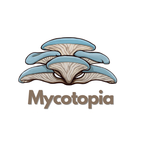 ממתין לתמונת מוצר