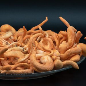 תמצית קורדיספס