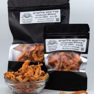 קורדיספס 100% גופי פרי